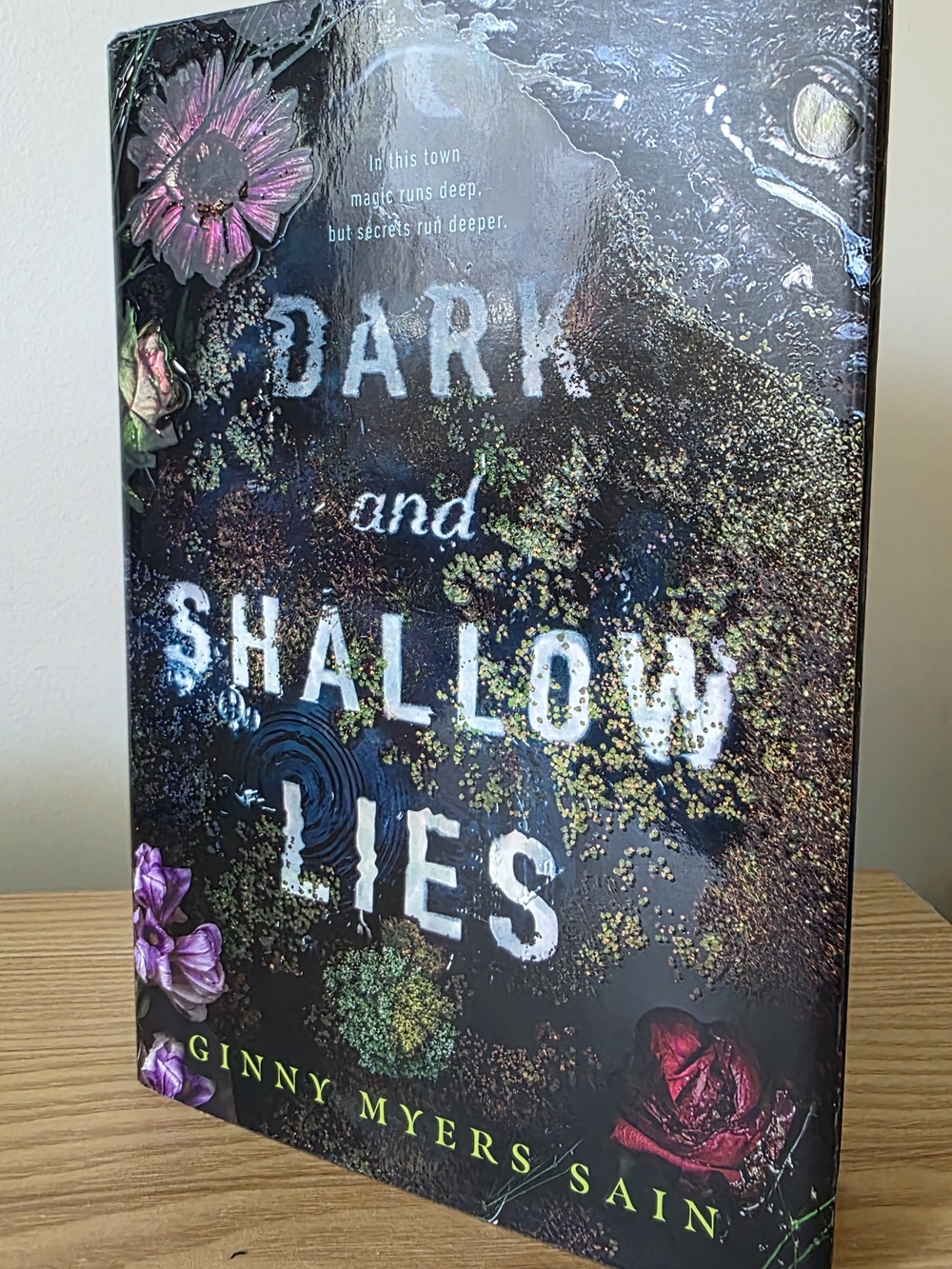 2 For $16 Books - Dark and Shallow Lies by Ginny Myers Sain